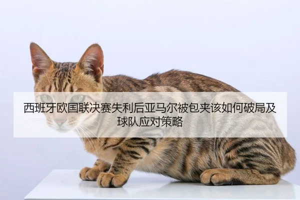 xi-ban-ya-ou-guo-lian-jue-sai-shi-li-hou-ya-ma-er-bei-bao-jia-gai-ru-he-po-ju-ji-qiu-dui-ying-dui-ce-lve-1-309.jpg
